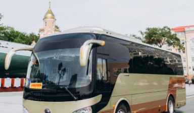 автобусы для детей и взрослых