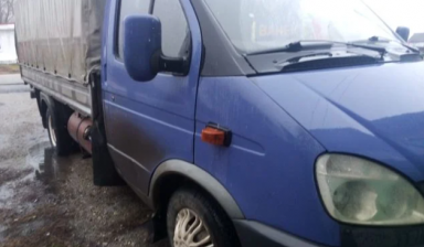 Газель