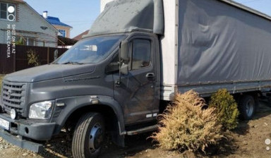 Газон некст