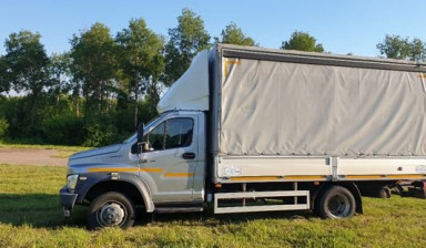 Газон Некст