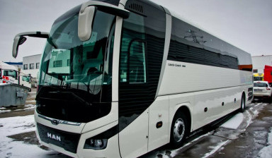Заказ автобуса, перевозка школьников