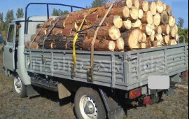 Дрова чурками колотые доставка сосна лествяк берез