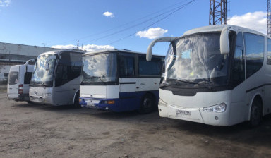 Пассажирские перевозки автобусом, микроавтобусом