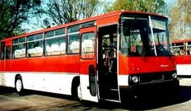 Автобус / Заказные перевозки