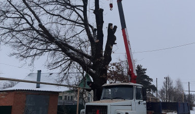 Услуги манипулятора и автовышки