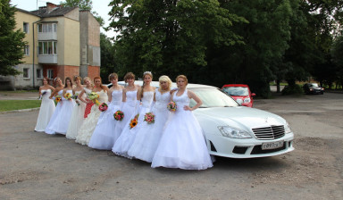 Лимузин Mercedes Benz 221