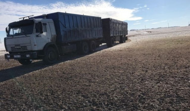 Перевозка скотовоз, зерновоз в Элисте