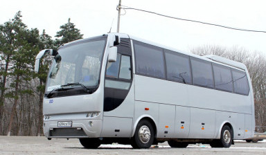 Аренда автобуса. Аренда микроавтобуса