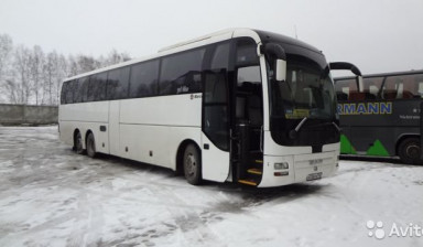 Аренда автобусов