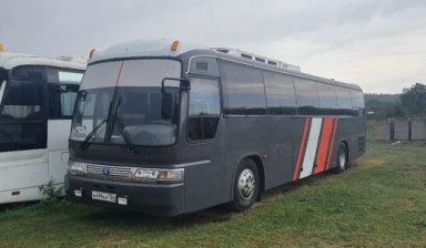 Автобусы на заказ перевозки