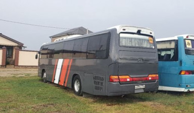 Автобусы на заказ перевозки