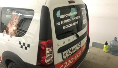 Перевозка домашних животных