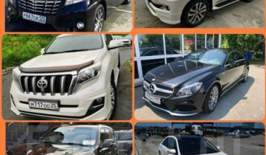 Аренда автобусов,микроавтобусов и авто с водителем