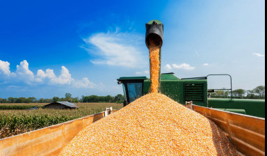 Перевозка зерна, сельхозпродукции.