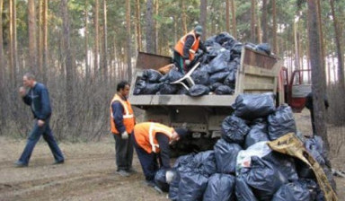 Вывезем и утилизируем строительный мусор недорого
