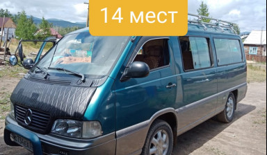 Перевозки пассажиров и домашних вещей