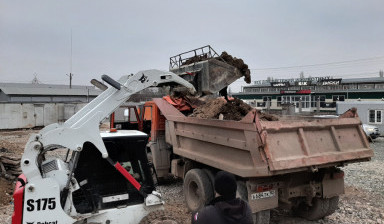 Аренда мини погрузчика Bobcat Симферополю и Крыму