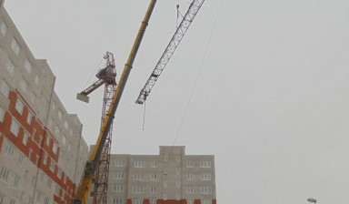 Аренда башенного крана