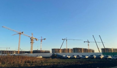 Аренда | Прокат башенного крана в Севастополе