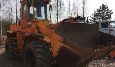 Погрузчик в аренду