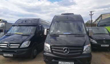 Аренда автобусов с водителем