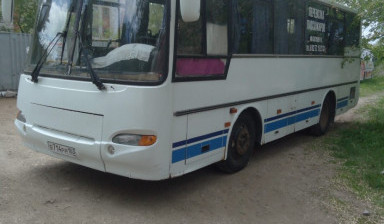 Автобусы разной вместимости