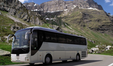 Компания перевозчик. Заказные автобусы.