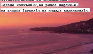 Услуги манипулятора и эвакуатора
