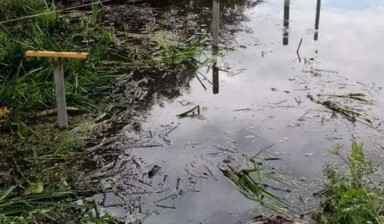 Благоустройство территорий