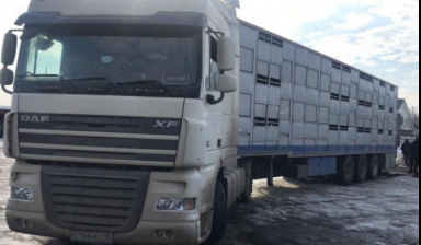Грузоперевозки от догруза до негабарита