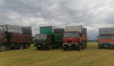 Самосвалы для перевозки силоса и сенажа