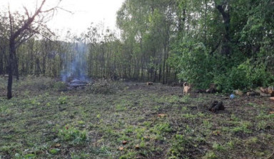 Благоустройство участков