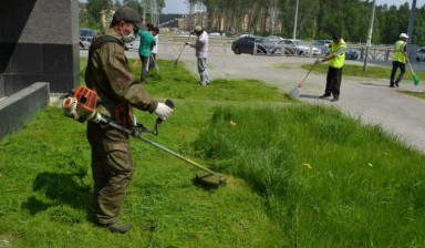 Благоустройство участка, демонтаж, спил деревьев