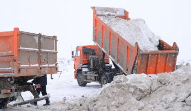 Вывоз снега самосвалами