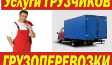Грузчики, землекопы