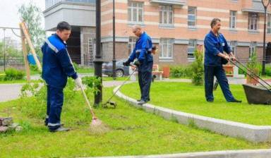Уборка территорий, зданий. Благоустройство