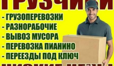 Грузчики-разнорабочие не дорого