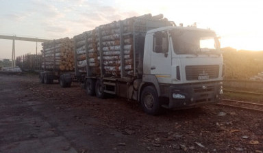 Услуги лесовоза сортиментовоза