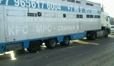 Перевозка скота крс, лошади, свиньи