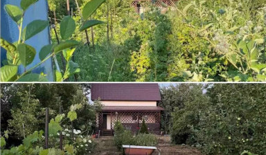 Сад благоустройство