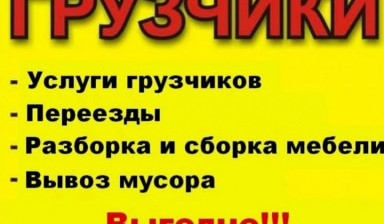 Грузчики для мебели