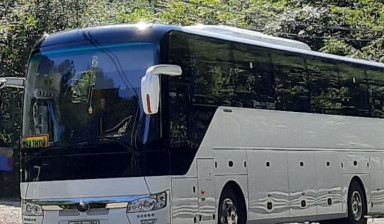 Пассажирские перевозки. Автобус от 43 до 57 мест.