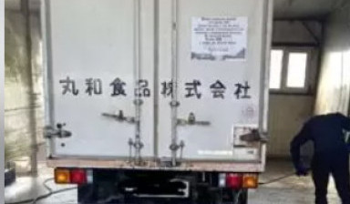 Аккуратная перевозка лошадей в Анадыре