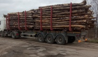 Перевозка грузов, сортиментовоз лесовоз услуги.
