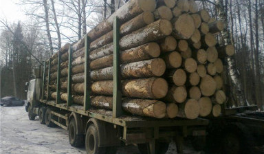 Перевозка леса. Полуприцеп лесовоз в аренду.