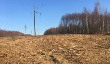 Аренда Мульчера,Расчистка кустарника и мелколесья