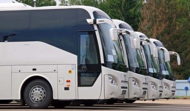 Аренда транспорта. Заказ автобуса 43 места.