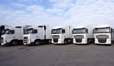 Рефрижератор 20 т. Грузовая перевозка. Автопарк.
