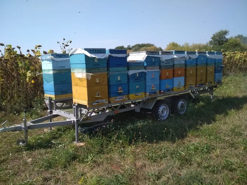OLX.ua - объявления в Украине - прицеп для пчел